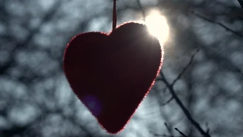 Red heart, hanging in back sun light and waving Stock-Footage 87871137