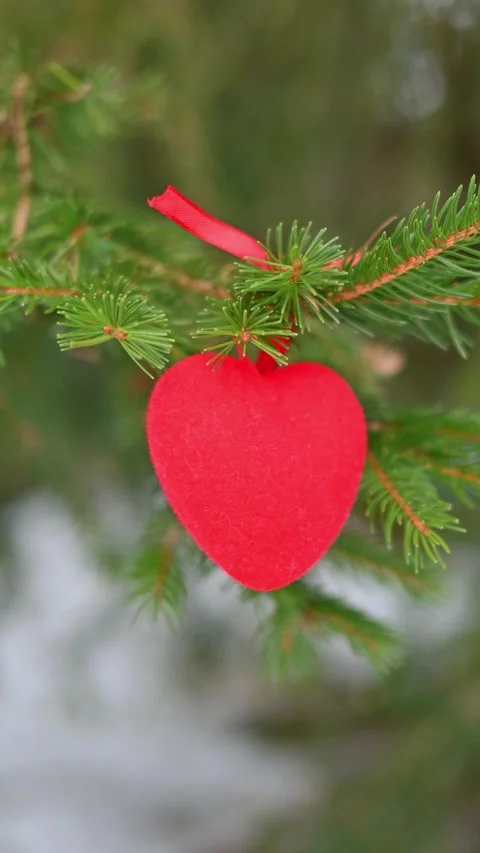 Red heart in the nature Stock Footage 297895758