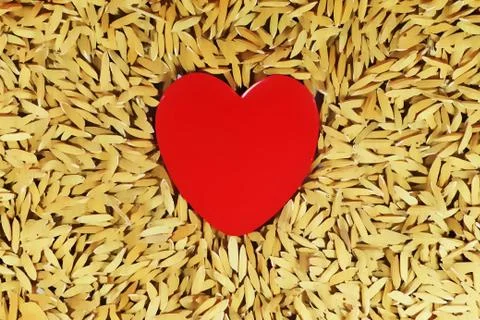Red Heart with paddy background Illustrazione stock