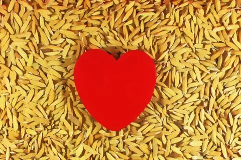 Red Heart with paddy background Illustrazione stock