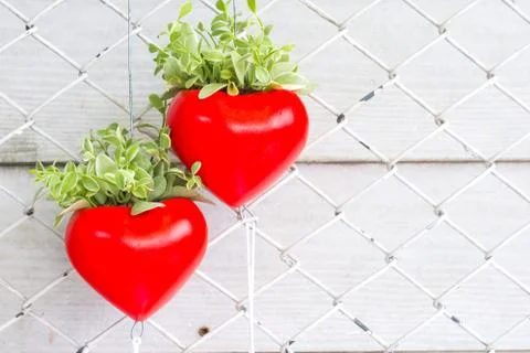Red heart Stock Photos