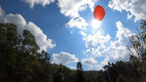 Red heart shape balloon fly in the blue sky. Love symbol for valentines day. Stock Footage 122313016