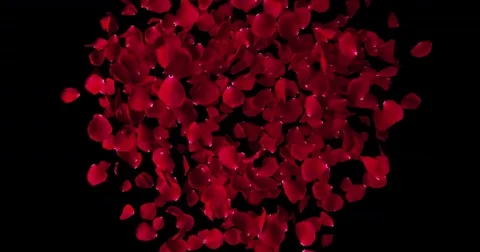 Red heart shape of rose petals flowing in vortex on black background Stock Footage 72224723