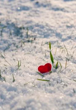 Red heart shape stuck in fluffy snow Stock Photos