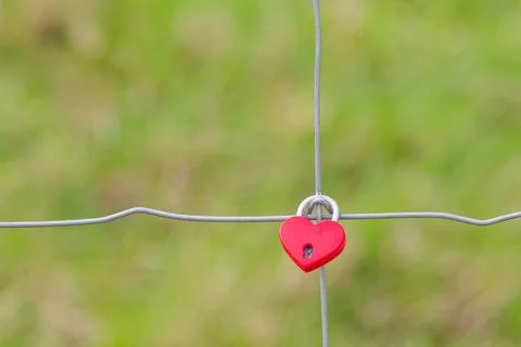 Red heart shaped padlock attached to metal wire fence with blurred green ba.. Stock Photos