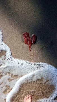 Red heart-shaped stone on beach sand detailed photo Фото