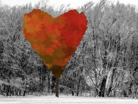 Red heart shaped tree in front of stand of trees in snow, concept love Stock Photos