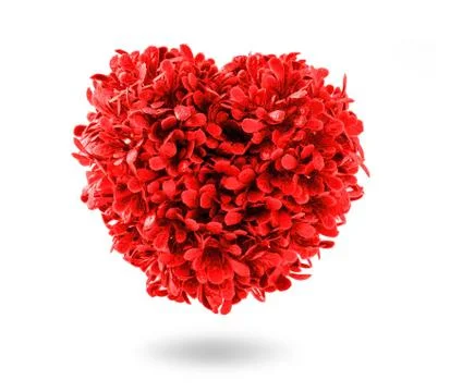 Red heart tree Stock Photos