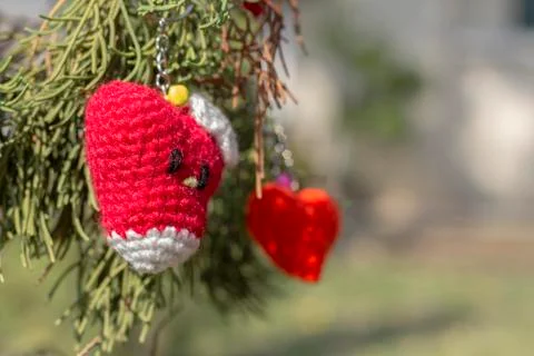 Red heart on tree Stock Photos