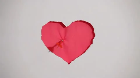 Red heart on the white background. HD Stock Footage 10574189