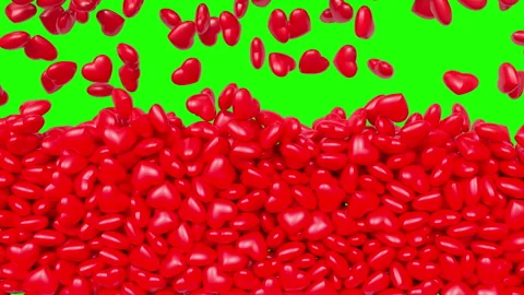 Red hearts falling and covering the green screen.Transition.Love background,loop Stock Footage 275287653