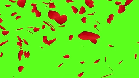 Red hearts falling down on the green screen Stock Footage 151539073