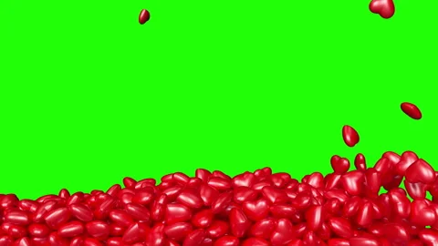 Red hearts falling fast revealing green screen.Transition.Love background loop Stock Footage 275287243