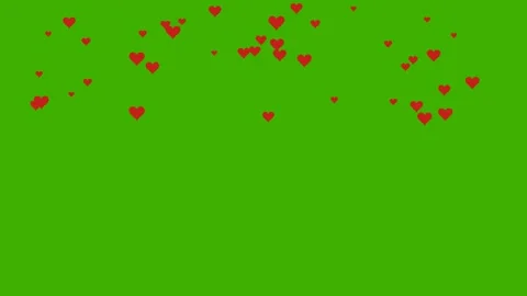 Red hearts falling on green screen for Valentine love overlay 4K Vídeos de archivo 336484989
