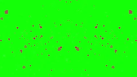 Red hearts floating on a green screen background for romantic video editing Видео 343908613