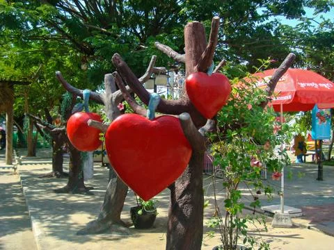 Red hearts hang on a tree. Composition for Valentine's Day Stock Photos