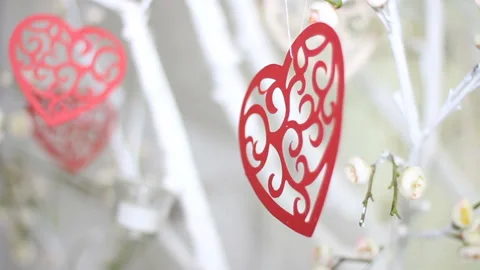 Red hearts on tree branch. Holidays happy valentines day celebration heart love Stock Footage