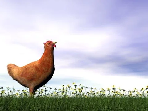 Red hen - 3D render Stock Illustration