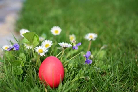 Red hen Easter egg in the flower garden Stock Photos