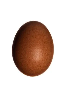 Red hen egg Stock Photos