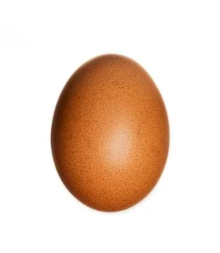 Red hen egg Stock Photos