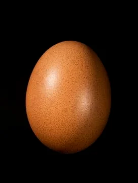Red hen egg Stock Photos