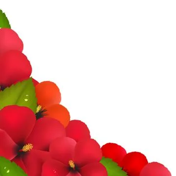 Red hibiscus flowers with leaf border Stock Illustration