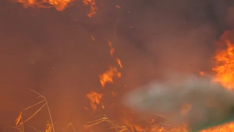 Red high flame of fire closeup. Flame of fire burns everything in its path. Fire Stock Footage 300103461