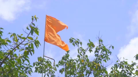 Red hindu flag over blue sky and green trees Video stock 138451440