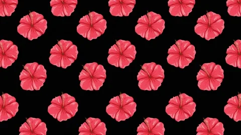 Red Hisbiscus Flowers Background Stock Footage 212453501
