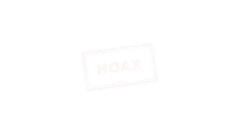 Red Hoax Rubber Stamp Animation on White Background 4K Stock Footage 339029375