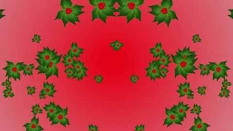 Red holly berries Stock-Footage 255114883
