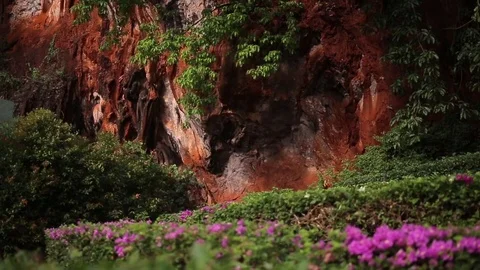 Red horizontal striations in sandstone rock cliff wall. Thailand. Stock Footage 83214675