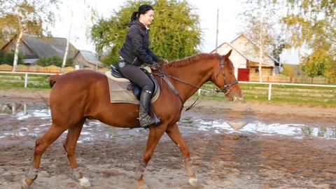 Red horse with a rider going step. Evening outdoors, on a background of trees Stock Footage 80682371