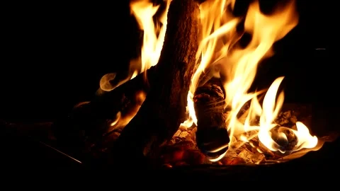 Red Hot Charcoal and Burning Firewood Embers with Flame Vídeo Stock 344535000