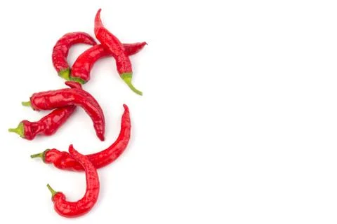 Red hot chili pepper isolated on white background. Close-up Stock Photos