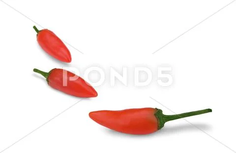 Red hot chili Stock Photos