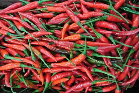 Red hot chilli background Foto stock