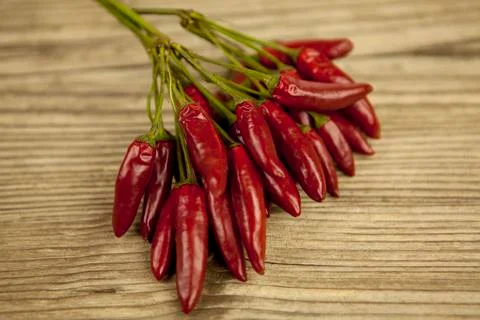 Red hot chilli pepper with basil and garlic on table Stock Photos