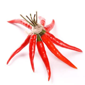Red hot chilli pepper bunch Stock Photos