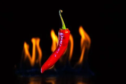 Red hot chilli pepper with the fire flames Stock-Fotos