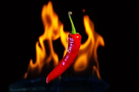 Red hot chilli pepper with the fire flames Stock Photos