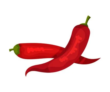 Red Hot Chilli Pepper, Fresh Organic Product, Culinary Ingredient Vector Stock Illustration