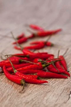 Red hot chilli pepper Stock Photos