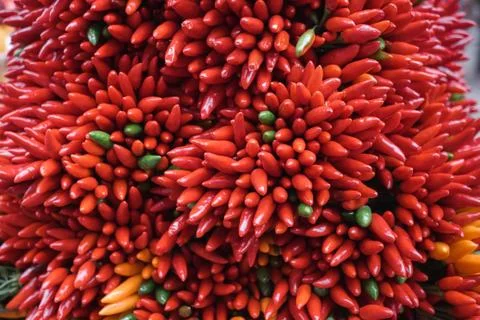 Red hot chilli peppers pattern texture background. Stock Photos