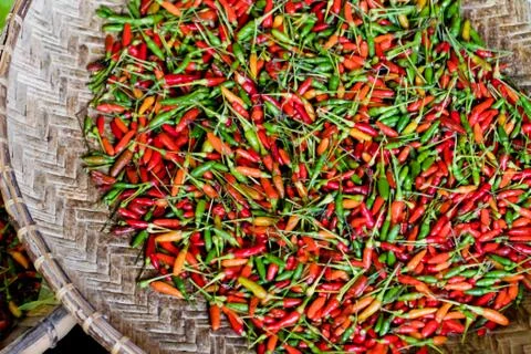 Red hot chilli peppers pattern texture background. Close up. A backdrop ofRed Stock Photos