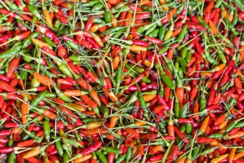 Red hot chilli peppers pattern texture background. Close up. A backdrop ofRed Foto stock