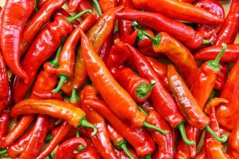 Red hot chilli peppers pattern texture background. Close up. Landscape. A Stock Photos