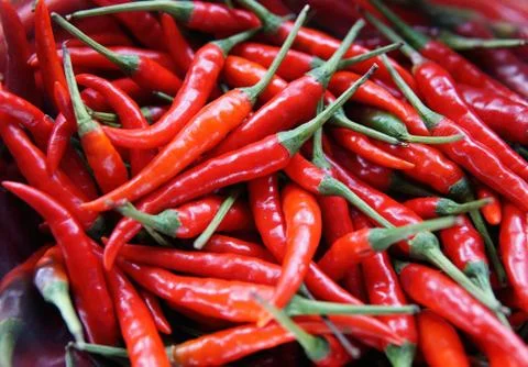 Red hot chilli peppers pattern texture background. Close up. Landscape. Stock Photos