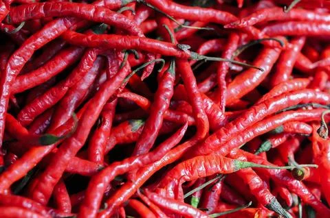 Red hot chilli peppers pattern texture background Stock Photos